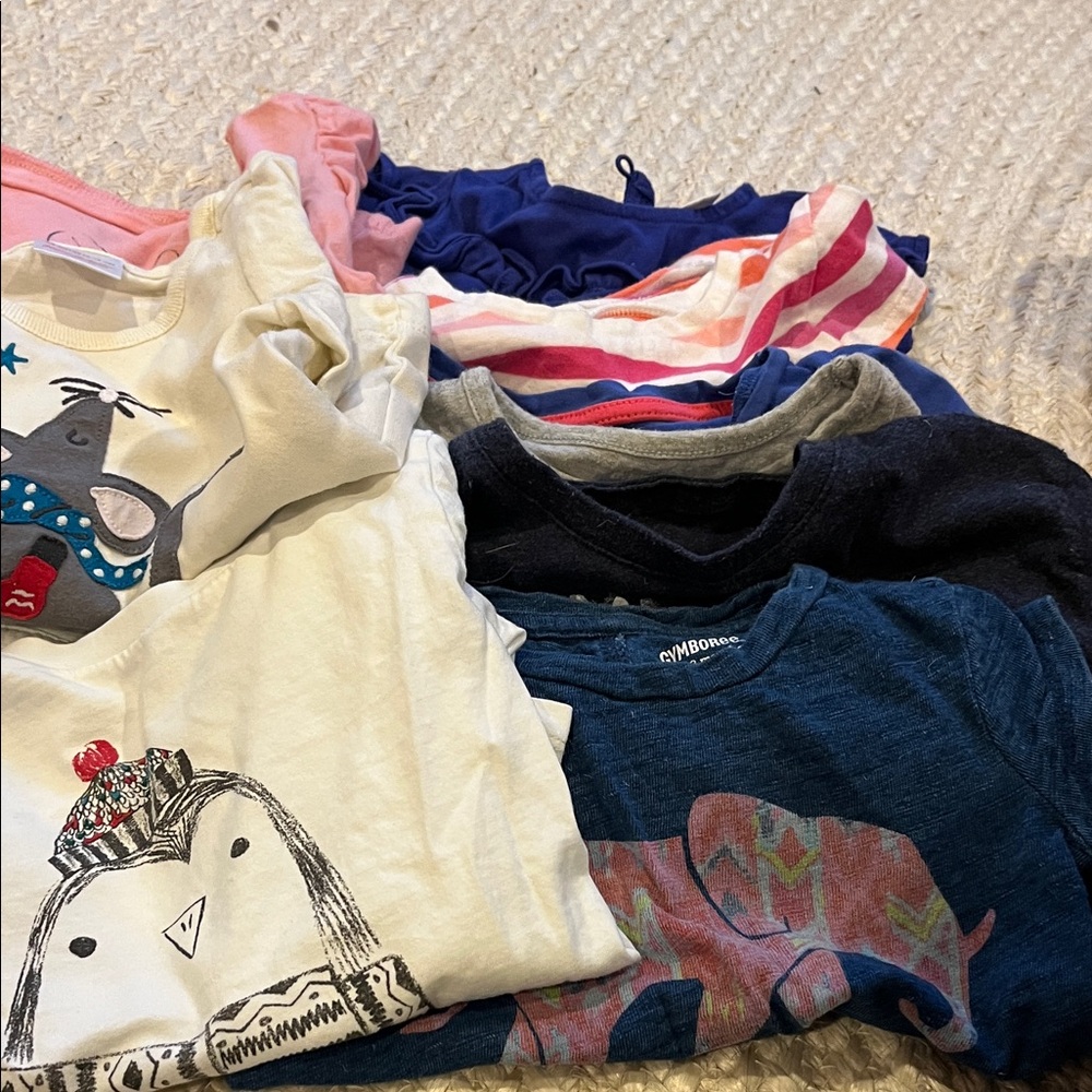 Lot of 9 girls tee shirts size 12- 18 months. Hannah Anderson and more